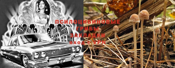 кокаин Новозыбков