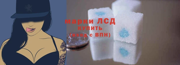 PSILOCYBIN Нея