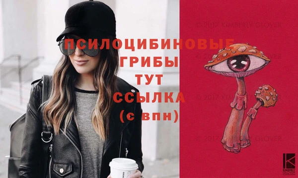 PSILOCYBIN Нея