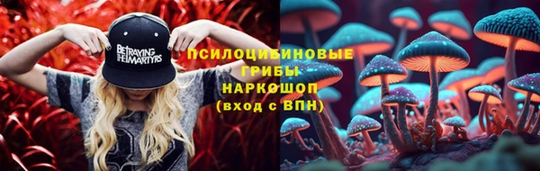 PSILOCYBIN Нея