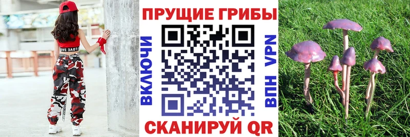 Галлюциногенные грибы мицелий Орёл